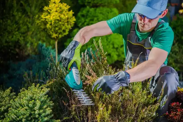 landscaping services Bowling Green